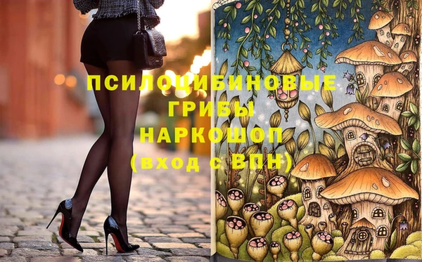 ECSTASY Каменка