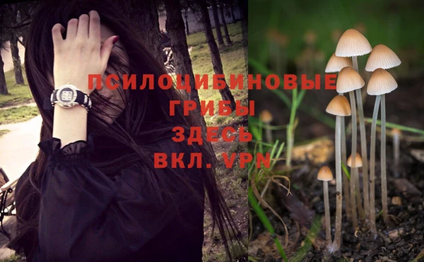 спайс Каменск-Шахтинский